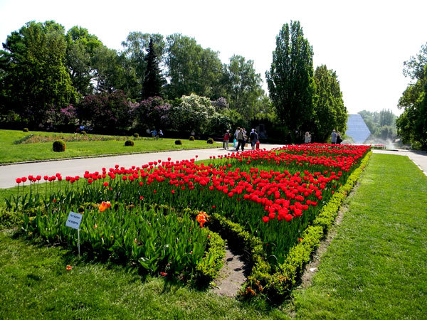 ботанический сад в Киеве