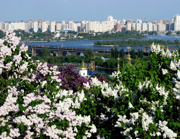 вид на Киев из ботанического сада
