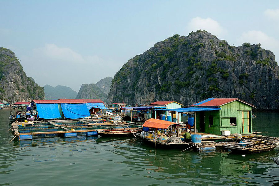 деревня на воде во Вьетнаме