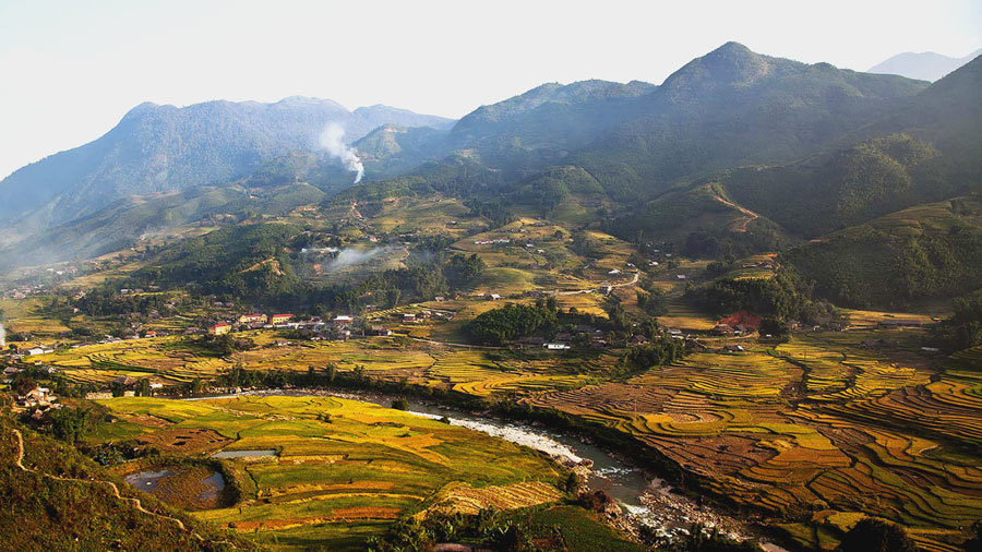 рисовые поля Вьетнама