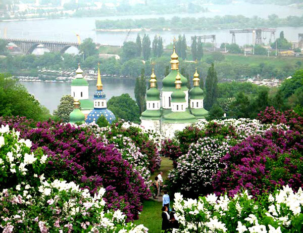 что посмотреть в Киеве, ботанический сад