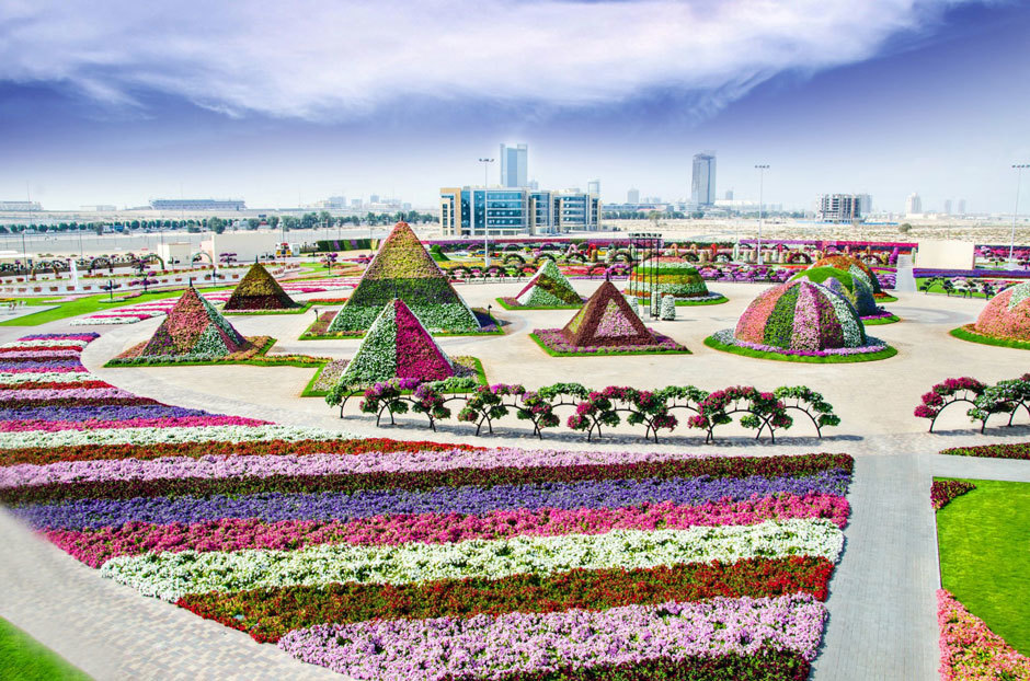 парк цветов  в ОАЭ