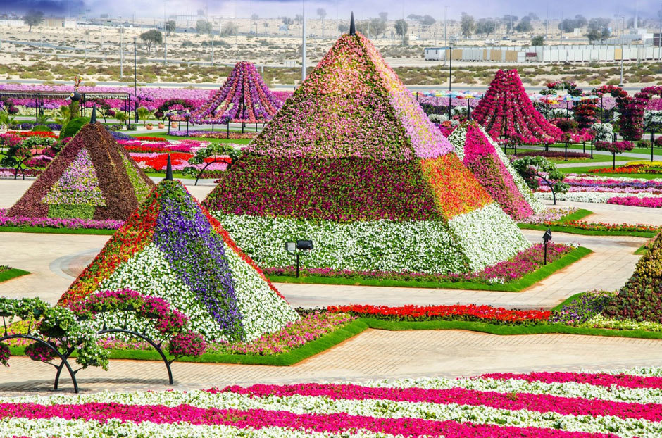 пирамиды из цветов