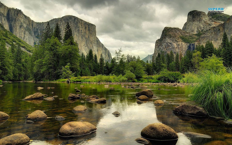 природа парка Yosemite  (2)
