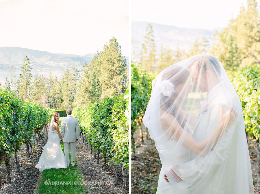 свадьба в винограднике
