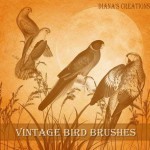 Vintage Bird кисточки для Photoshop