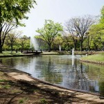 Парк Ёёги — оазис дикой природы в деловом центре Токио