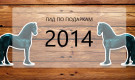 Что подарить на Новый год: гид по подаркам 2014