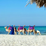 Райский уголок Туниса — остров Джерба